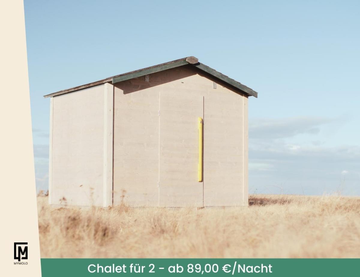 Kieler Woche Lodge Camp エクステリア 写真